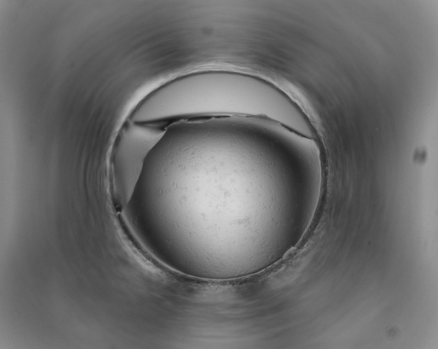 X0000090891238200708171659