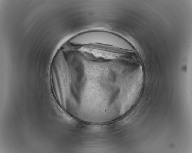 X0000090891240200708171659