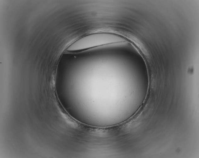 X0000090891241200708171659