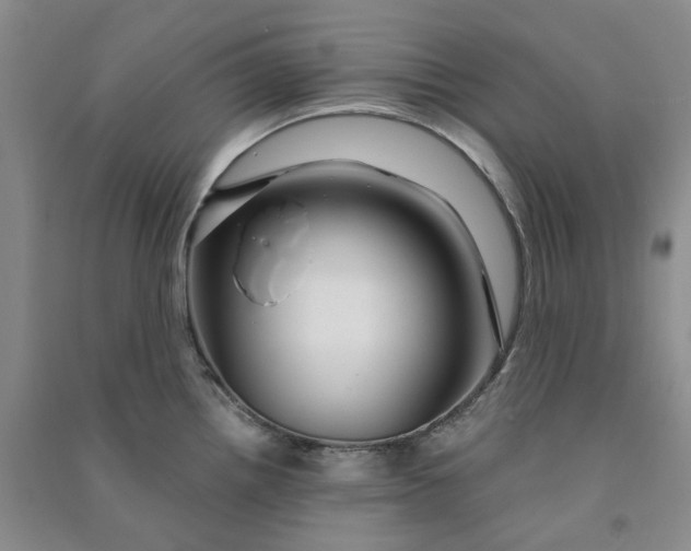 X0000090891242200708171659