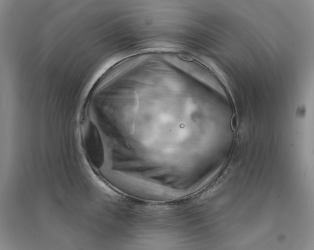 X0000090891243200708171659