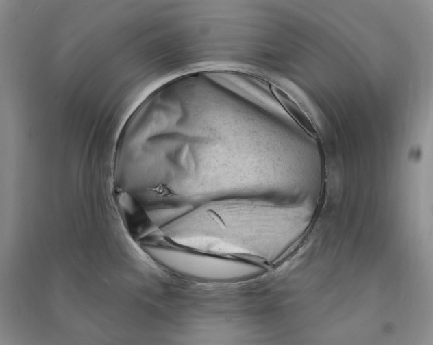 X0000090891244200708171659