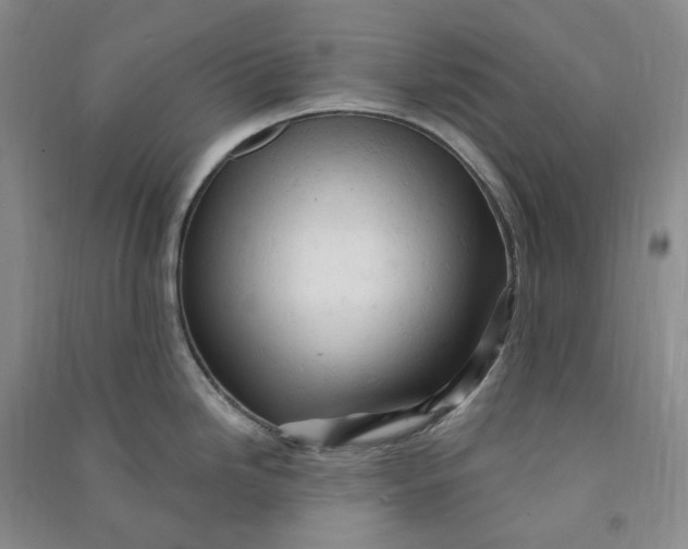 X0000090891246200708171659