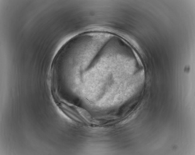 X0000090891247200708171659