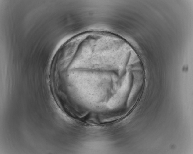 X0000090891248200708171659