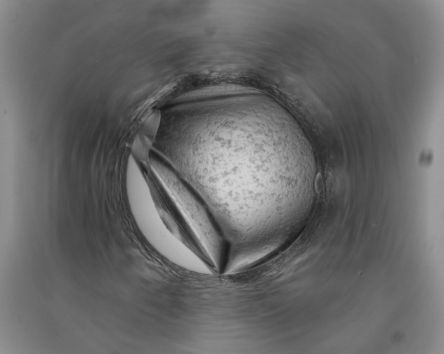 X0000090891250200708171658