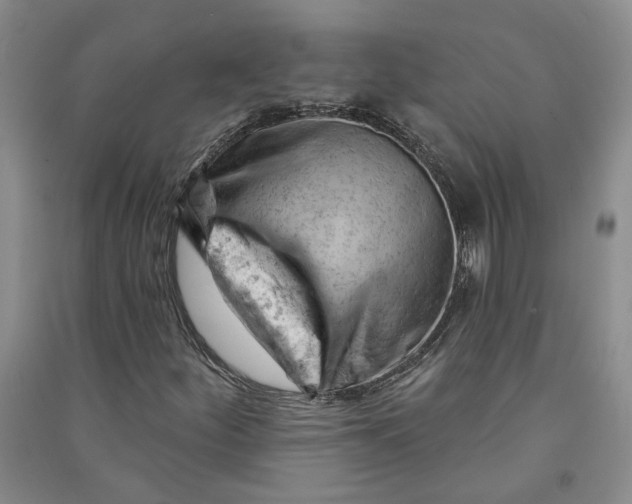 X0000090891252200708171658