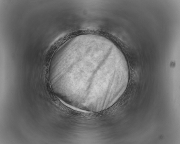 X0000090891254200708171658