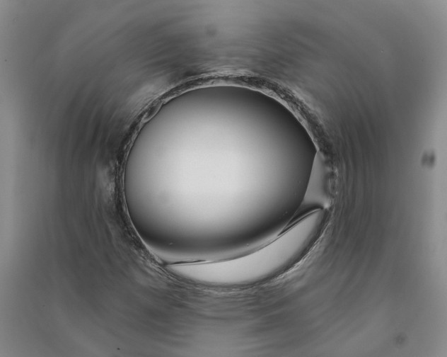 X0000090891257200708171658