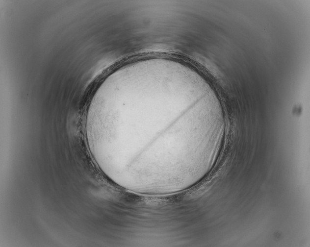 X0000090891258200708171658