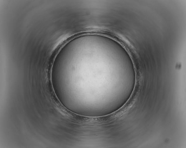 X0000090891259200708171658