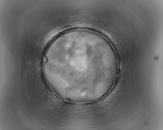 X0000090891263200708171658