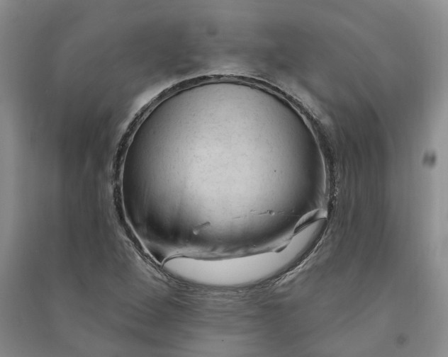 X0000090891264200708171658