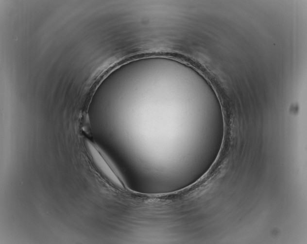 X0000090891265200708171658