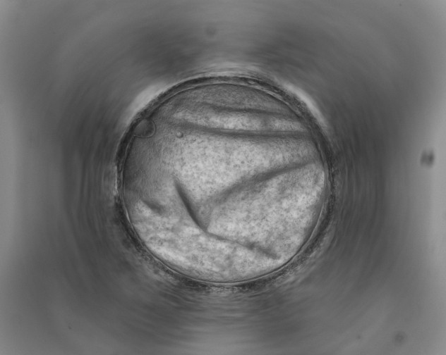 X0000090891267200708171658