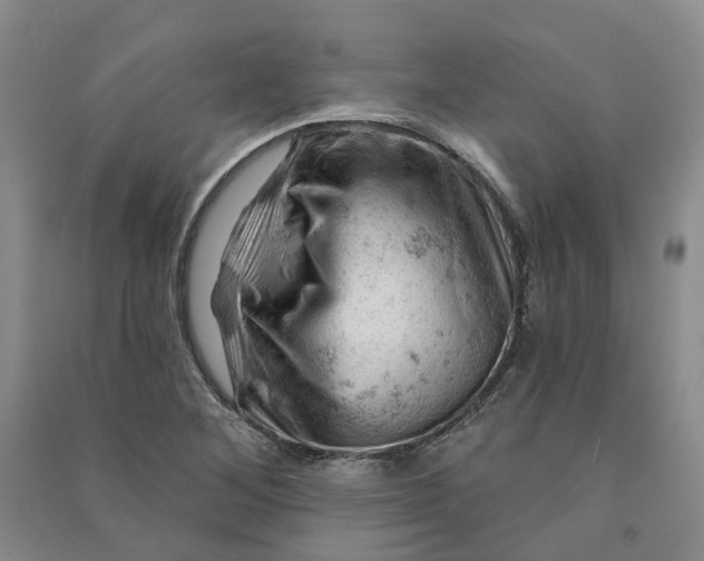 X0000090891268200708171658