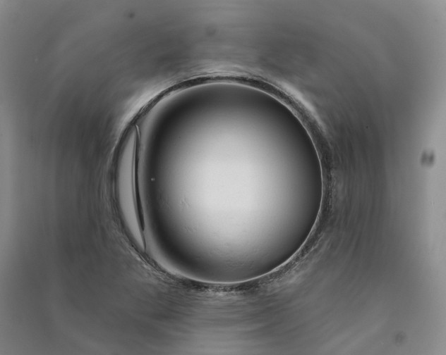 X0000090891269200708171658