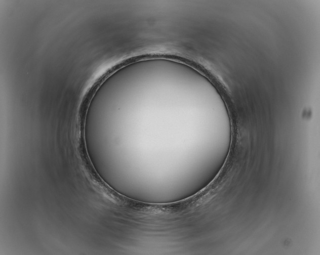 X0000090891270200708171658