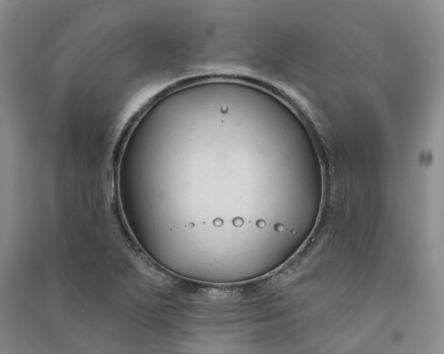 X0000090891271200708171658