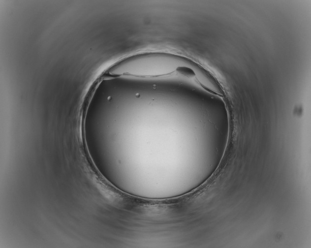 X0000090891272200708171658