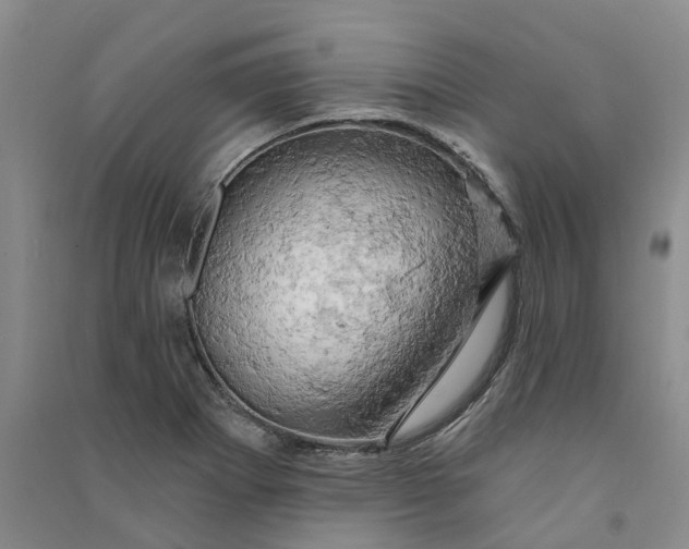 X0000090891273200708171658