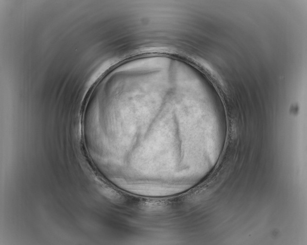 X0000090891274200708171658