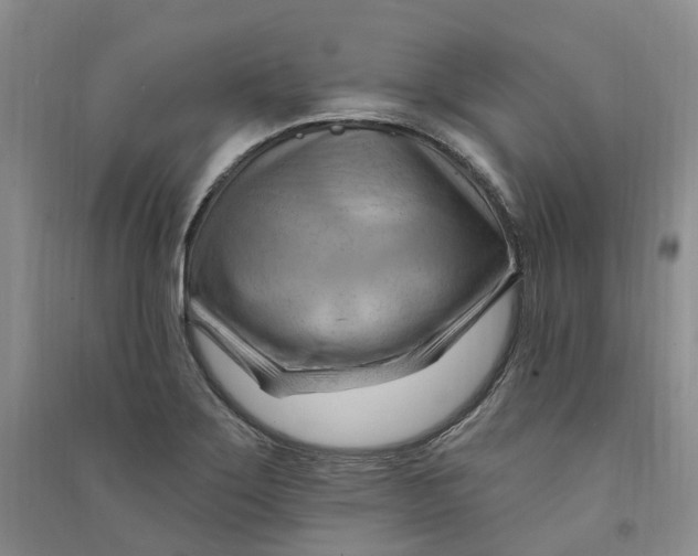 X0000090891275200708171658