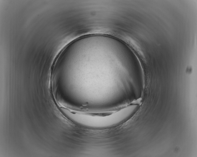 X0000090891276200708171658