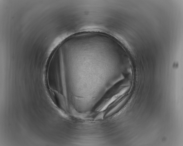 X0000090891277200708171658