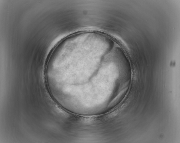 X0000090891278200708171658