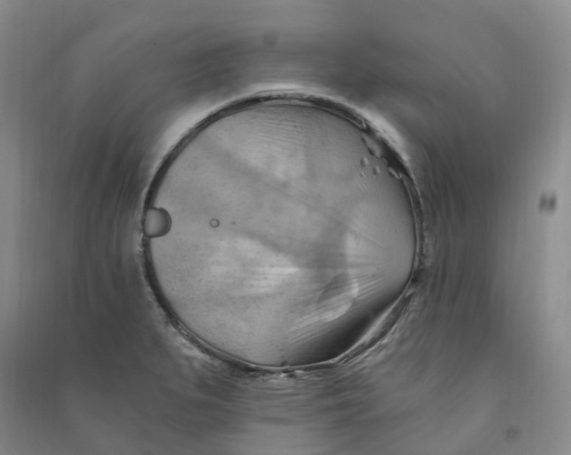 X0000090891279200708171658