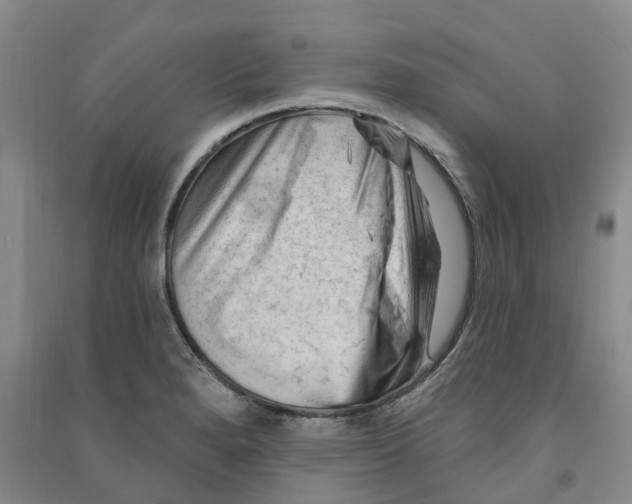 X0000090891280200708171658