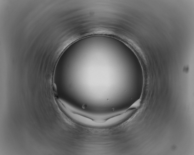 X0000090891281200708171658