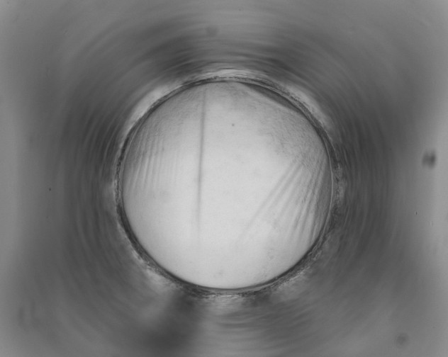 X0000090891282200708171658