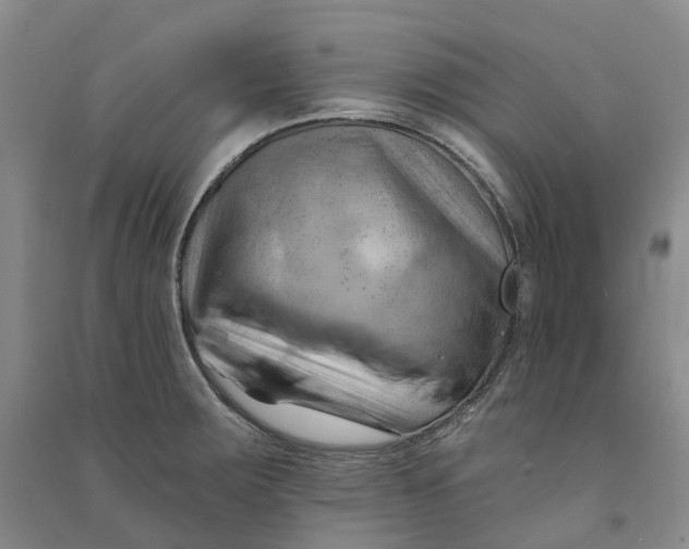 X0000090891283200708171658