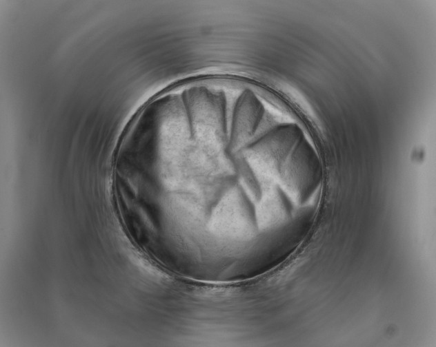 X0000090891284200708171658