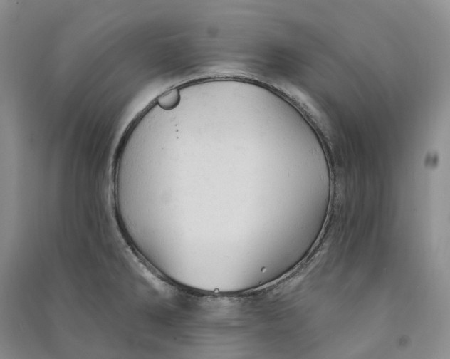 X0000090891286200708171658