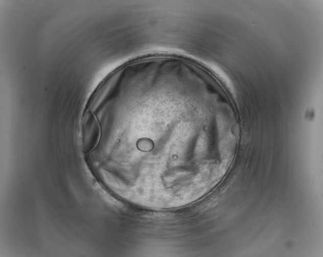 X0000090891287200708171658