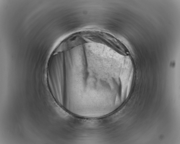 X0000090891288200708171658