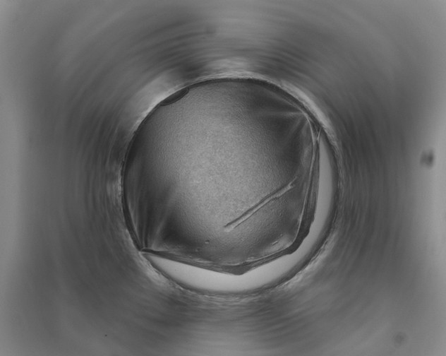 X0000090891289200708171658