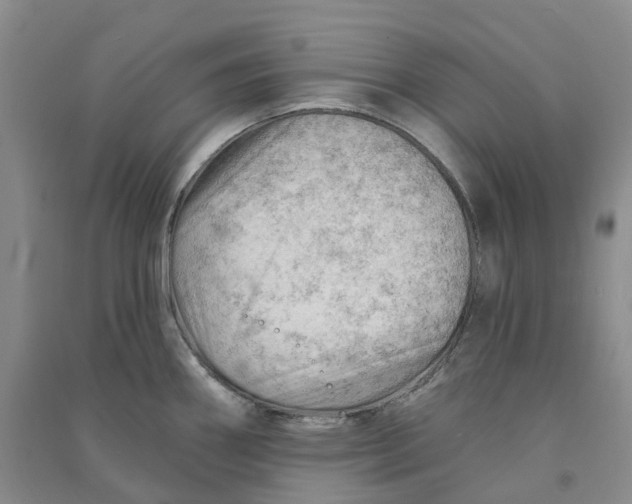 X0000090891290200708171658