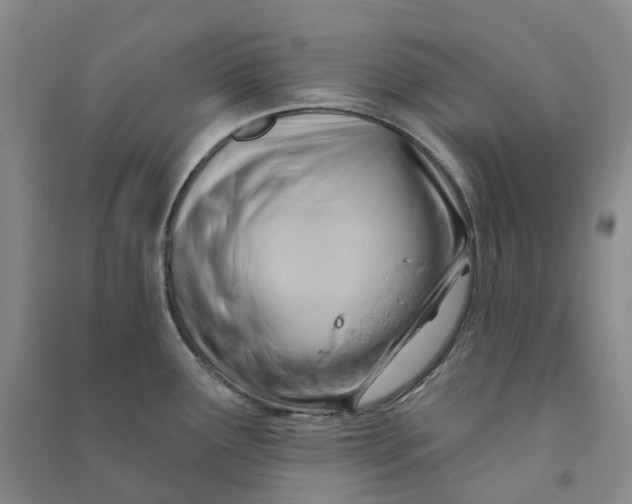 X0000090891291200708171658