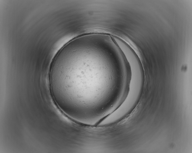 X0000090891293200708171658