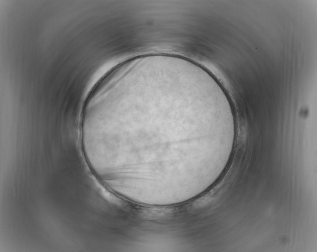 X0000090891294200708171658