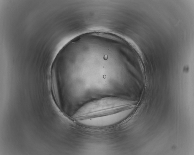 X0000090891295200708171658