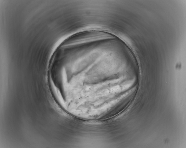 X0000090891296200708171658