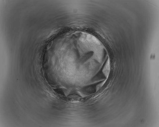 X0000090891297200708171657