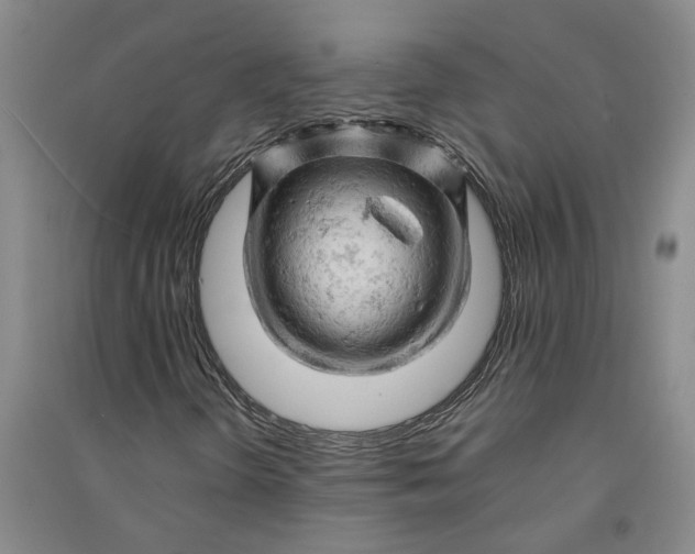 X0000090891298200708171657