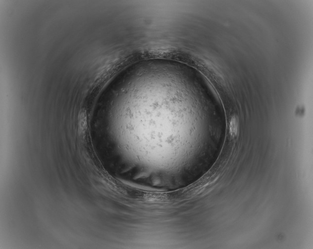 X0000090891299200708171657