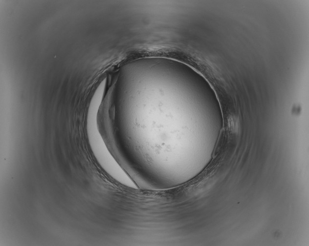 X0000090891300200708171657